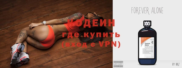 прущие грибы Абаза