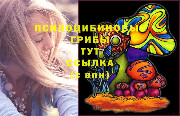 ALPHA-PVP Алексеевка